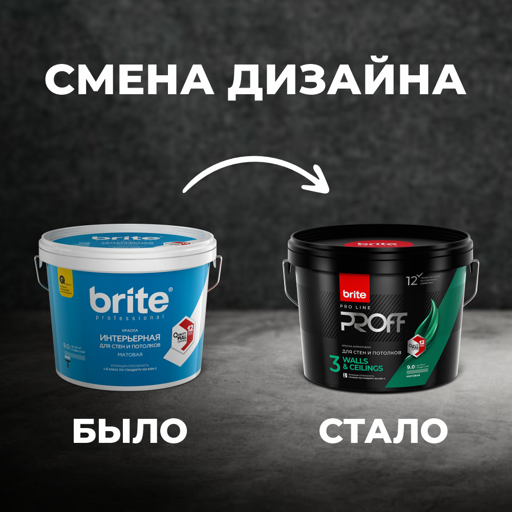 Краска BRITE PROFESSIONAL для стен и потолков матовая база А, банка 0,9 л (О03680)